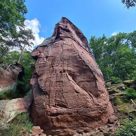公寓 Jungpfalzstieg