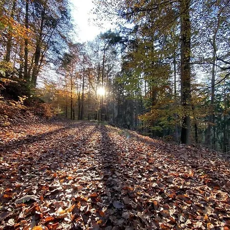 Jungpfalzstieg Rinnthal