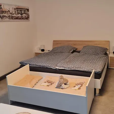 Jungpfalzstieg * Rinnthal