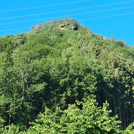 Jungpfalzstieg Apartamento