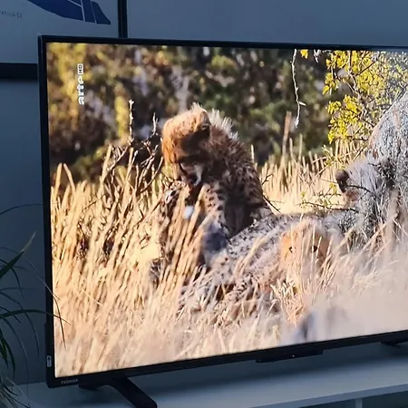 Jungpfalzstieg Апартаменты Rinnthal