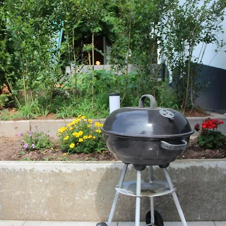 Jungpfalzstieg * Rinnthal