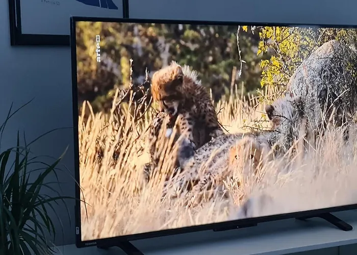 Jungpfalzstieg Appartement Rinnthal