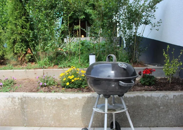 Jungpfalzstieg * Rinnthal